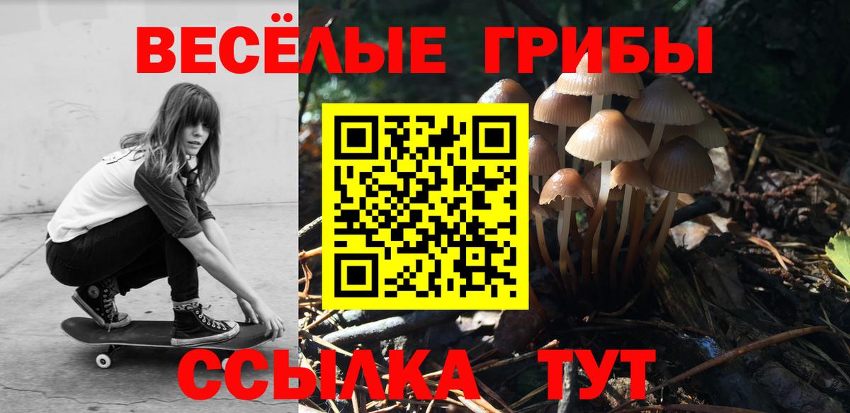 Ставрополь  Галлюциногенные грибы Psilocybine cubensis  Вход с VPN 