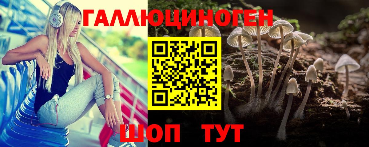 Псилоцибиновые грибы Cubensis Ставрополь